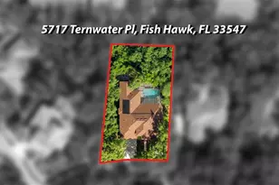 5717 Ternwater Pl, Lithia, FL 33547 - Photo 57