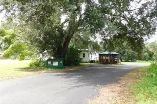 30501 Clearview Dr, Wesley Chapel, FL 33545 - Photo 39