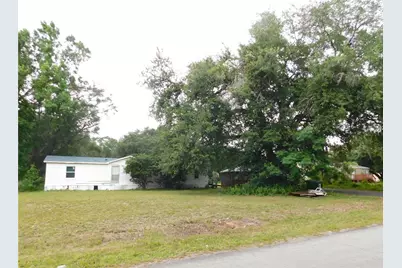 30501 Clearview Drive, Wesley Chapel, FL 33545 - Photo 1