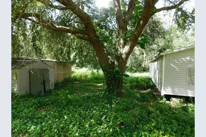 30501 Clearview Drive, Wesley Chapel, FL 33545 - Photo 35