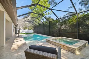 4013 W Zelar St, Tampa, FL 33629 - Photo 7