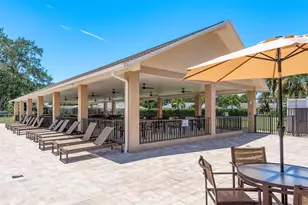 3127 Mission Grove Dr, Palm Harbor, FL 34684 - Photo 37
