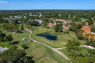 3127 Mission Grove Dr, Palm Harbor, FL 34684 - Photo 57