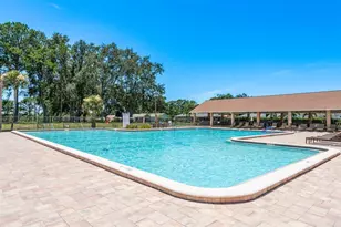 3127 Mission Grove Dr, Palm Harbor, FL 34684 - Photo 35