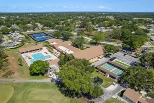 3127 Mission Grove Dr, Palm Harbor, FL 34684 - Photo 53