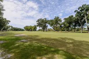 3230 Sandy Ridge Dr, Clearwater, FL 33761 - Photo 69