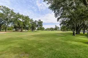 3230 Sandy Ridge Dr, Clearwater, FL 33761 - Photo 65