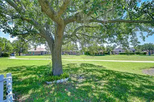 19312 Sea Mist Ln, Lutz, FL 33558 - Photo 53