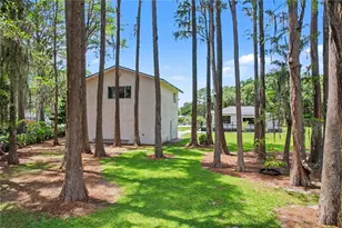 17305 Sherman Rd, Lutz, FL 33558 - Photo 63