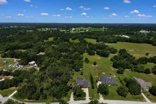 10619 Lithia Estates Dr, Lithia, FL 33547 - Photo 59