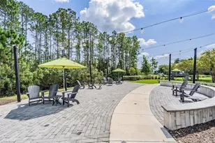 16429 Frehley Run, Land O Lakes, FL 34638 - Photo 43