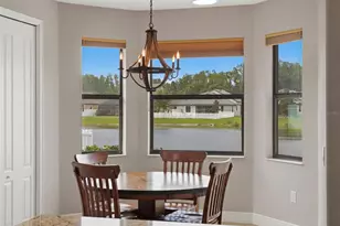 19833 Hidden Gln Dr, Land O Lakes, FL 34638 - Photo 15
