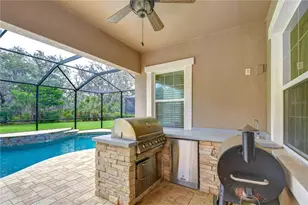 6335 Knob Tree Dr, Lithia, FL 33547 - Photo 41