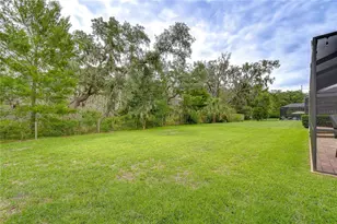 6335 Knob Tree Dr, Lithia, FL 33547 - Photo 43