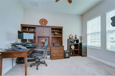 6335 Knob Tree Drive, Lithia, FL 33547 - Photo 9