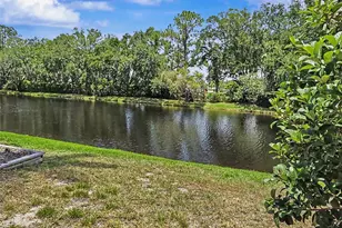 3749 Embassy Cir, Palm Harbor, FL 34685 - Photo 23