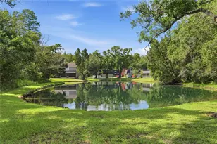 12747 Sunland Ct, Tampa, FL 33625 - Photo 27
