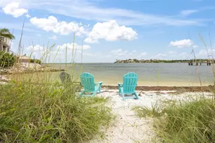 1005 Piano Ln, Apollo Beach, FL 33572 - Photo 59
