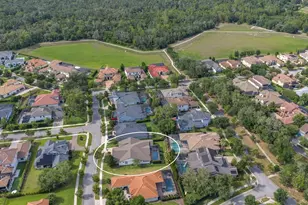 5208 Alafia Falls Dr, Lithia, FL 33547 - Photo 49