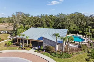6388 Spider Lily Way, New Port Richey, FL 34653 - Photo 33