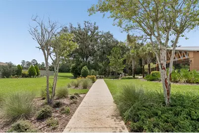 6388 Spider Lily Way, New Port Richey, FL 34653 - Photo 43