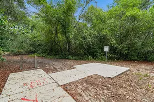 6388 Spider Lily Way, New Port Richey, FL 34653 - Photo 41