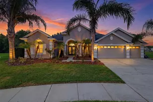 26641 Winged Elm Dr, Wesley Chapel, FL 33544 - Photo 1