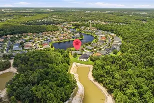 26641 Winged Elm Dr, Wesley Chapel, FL 33544 - Photo 29