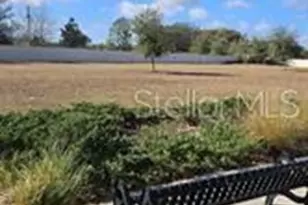 25118 Lambrusco Loop, Lutz, FL 33559 - Photo 21