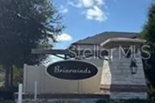 25118 Lambrusco Loop, Lutz, FL 33559 - Photo 29