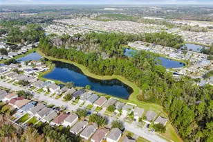 30626 Birdhouse Dr, Wesley Chapel, FL 33545 - Photo 51