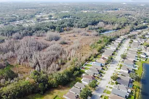 30626 Birdhouse Dr, Wesley Chapel, FL 33545 - Photo 53