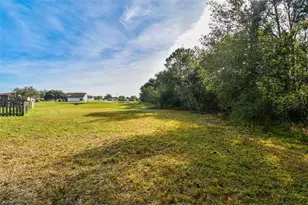 30626 Birdhouse Dr, Wesley Chapel, FL 33545 - Photo 33
