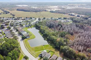 30626 Birdhouse Dr, Wesley Chapel, FL 33545 - Photo 55