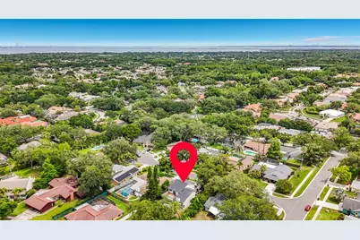 3 Octavia Way, Safety Harbor, FL 34695 - Photo 61