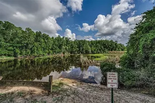 12025 Proctor Loop, New Port Richey, FL 34654 - Photo 25