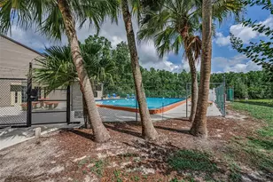 12025 Proctor Loop, New Port Richey, FL 34654 - Photo 27