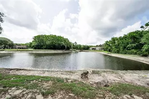 12025 Proctor Loop, New Port Richey, FL 34654 - Photo 3