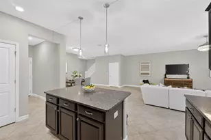 28511 Pleasant Bay Loop, Wesley Chapel, FL 33543 - Photo 15