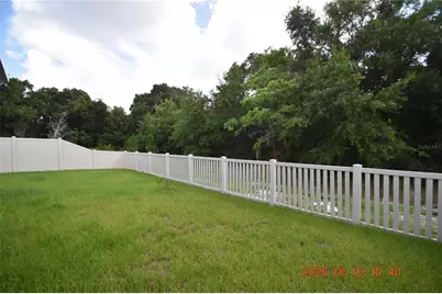 20076 Azul Marble Loop, Land O Lakes, FL 34638 - Photo 9