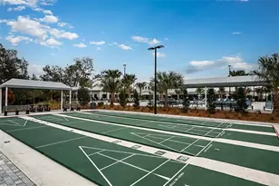 10852 Ibis Brk Ct, Land O Lakes, FL 34638 - Photo 37