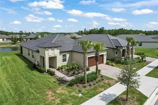 10852 Ibis Brk Ct, Land O Lakes, FL 34638 - Photo 3