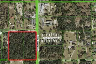 Shady Hills Rd, Spring Hill, FL 34610 - Photo 1
