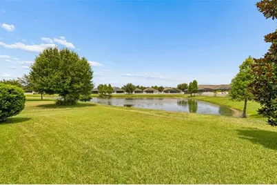 17566 Buckingham Garden Drive, Lithia, FL 33547 - Photo 3