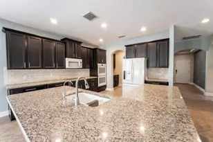 1038 Ketzal Dr, Trinity, FL 34655 - Photo 11