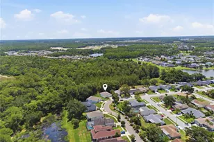3944 Watson Dr, New Port Richey, FL 34655 - Photo 41