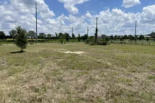 15110 Patterson Rd, Odessa, FL 33556 - Photo 1