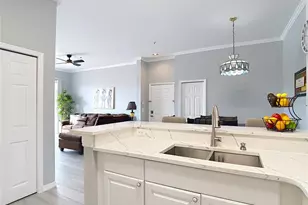 18107 Peregrines Perch Pl, Lutz, FL 33558 - Photo 11