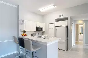 18107 Peregrines Perch Pl, Lutz, FL 33558 - Photo 9