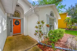 18934 Wood Sage Dr, Tampa, FL 33647 - Photo 5